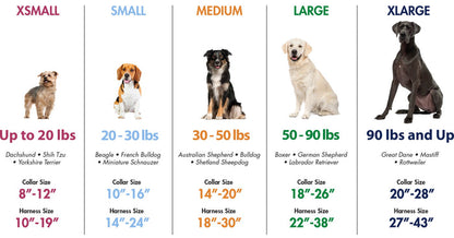Coastal Pet Products No! Slip Martingale Adjustable Dog Collar