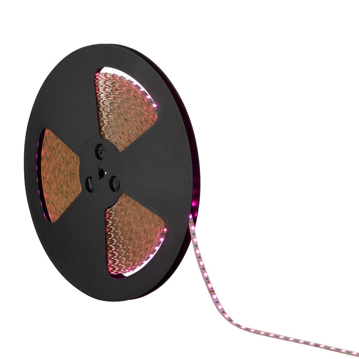 Saxby 99044 OrionRGB 12W-M 30M 360W LED Tape